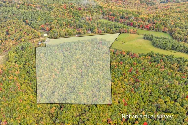 $498,000 | Tbd Blue Ridge Church Road, Purlear, NC 28665