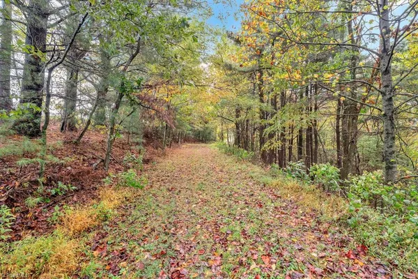$498,000 | Tbd Blue Ridge Church Road, Purlear, NC 28665