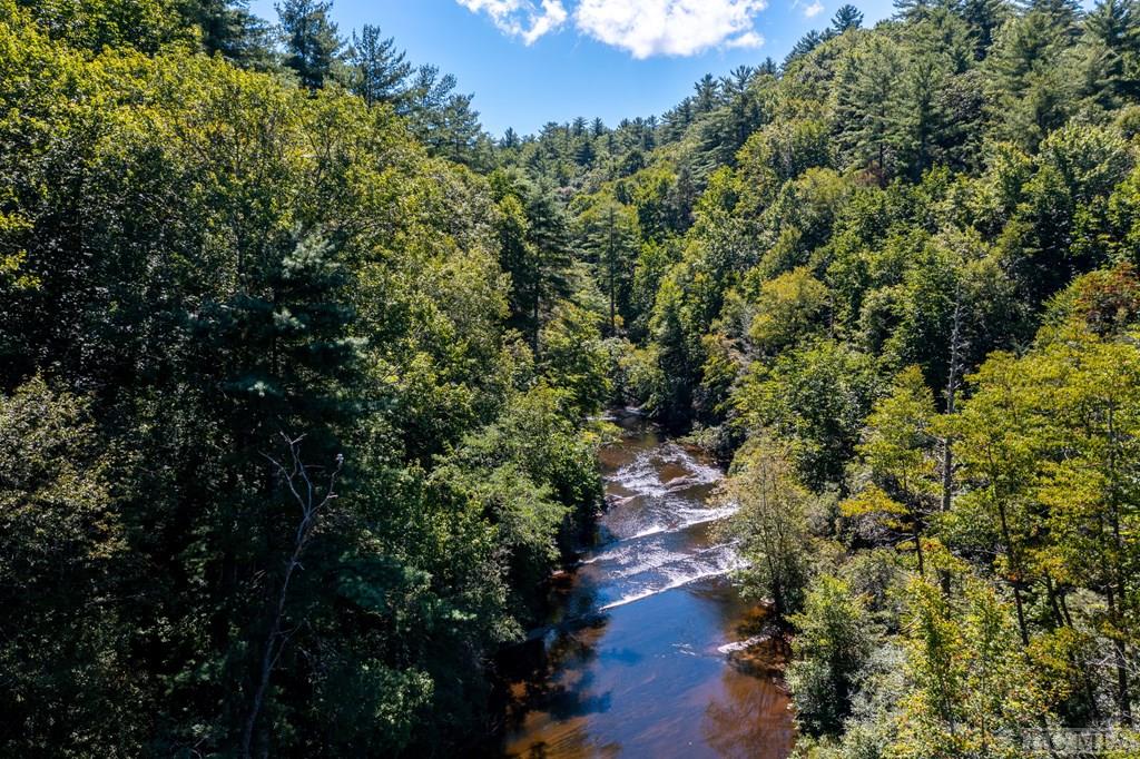 L010 A The Rapids Sapphire, NC 28774 - Photo 6 of 13 Gallery Image 6