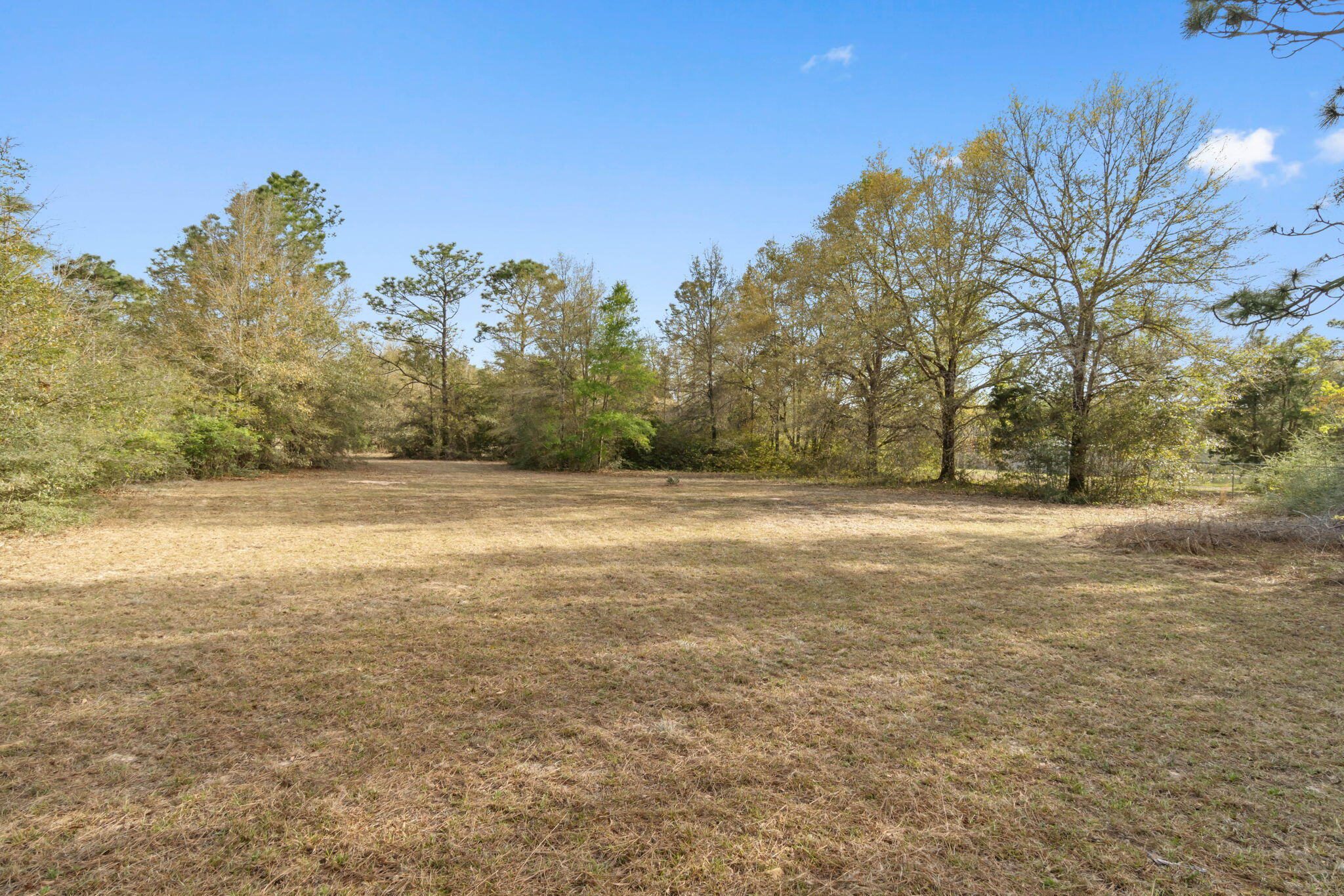 3545 Poverty Creek Road Crestview, FL 32539 - Photo 7 of 33 a view of yard with large trees