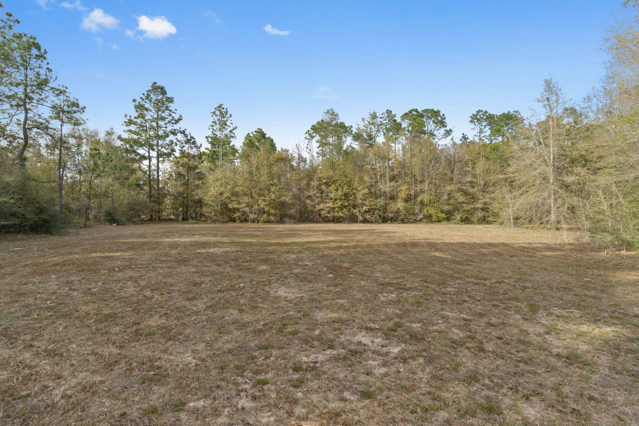 3545 Poverty Creek Road Crestview, FL 32539 - Photo 8 of 33 a view of a yard with trees in the background