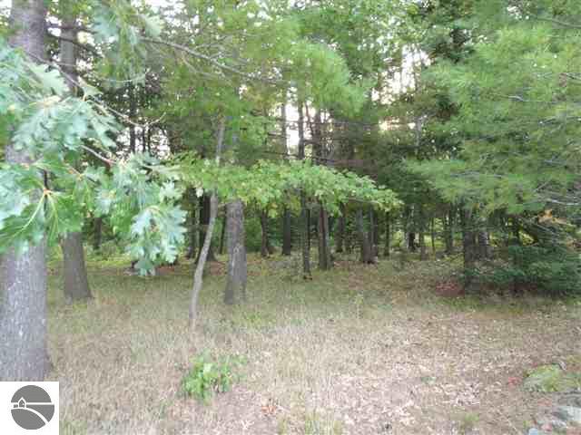 8109 Skegemog Point Road Williamsburg, MI 49690 - Photo 2 of 3 1720545-1.JPG