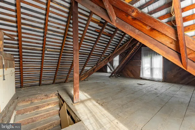 a view of a garden with a chair