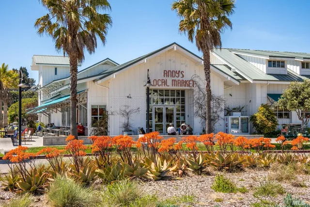 $499,000 | 726 Point San Pedro Road, San Rafael, CA 94901