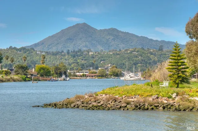 $499,000 | 726 Point San Pedro Road, San Rafael, CA 94901