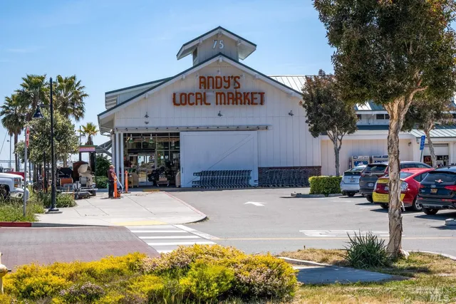 $499,000 | 726 Point San Pedro Road, San Rafael, CA 94901