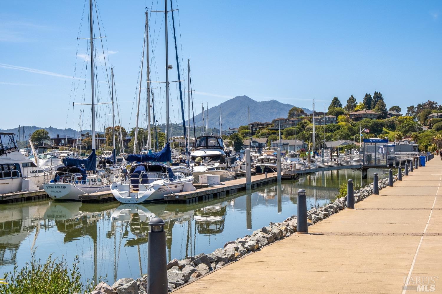 726 Point San Pedro Road San Rafael, CA 94901 - Photo 10 of 19