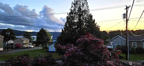 a view of a back yard