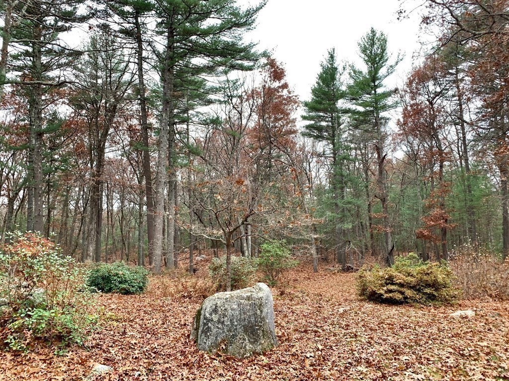555 Heald Road Carlisle, MA 01741 - Photo 22 of 22 a backyard of a house with lots of green space