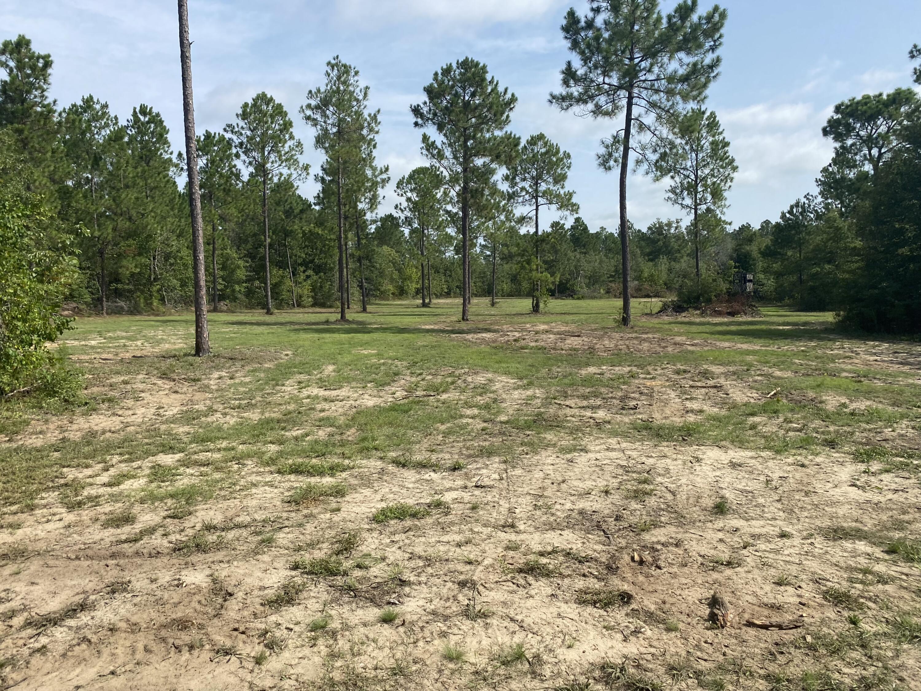 14-acres 14-acres Pearl Bonnet Road Windsor, SC 29856 - Photo 8 of 10