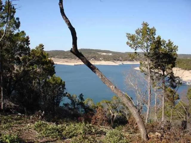 a view of a yard and mountain