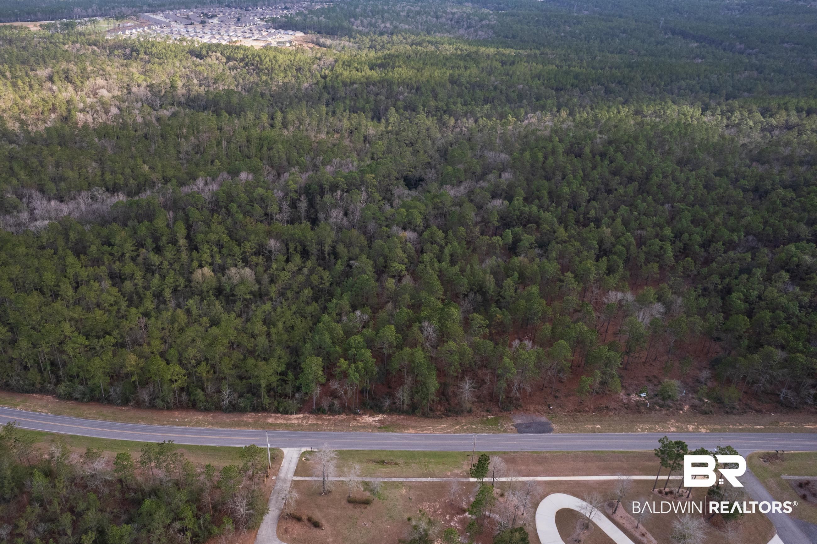 0 Bromley Road Daphne, AL 36527 - Photo 4 of 16