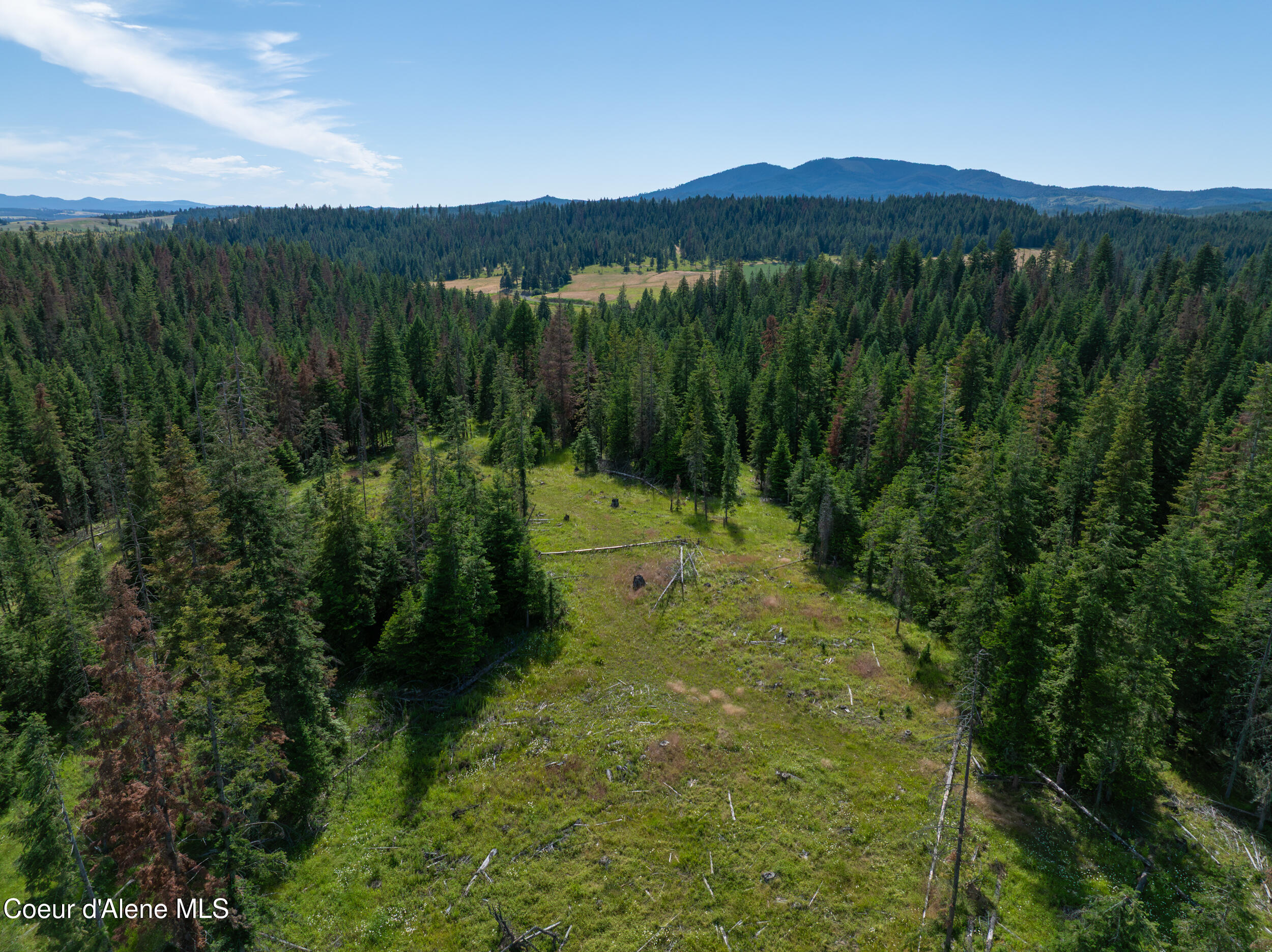 6 Harvard Id 83834 Harvard, ID 83834 - Photo 7 of 32 Cow Creek Tweedy (19 of 29)