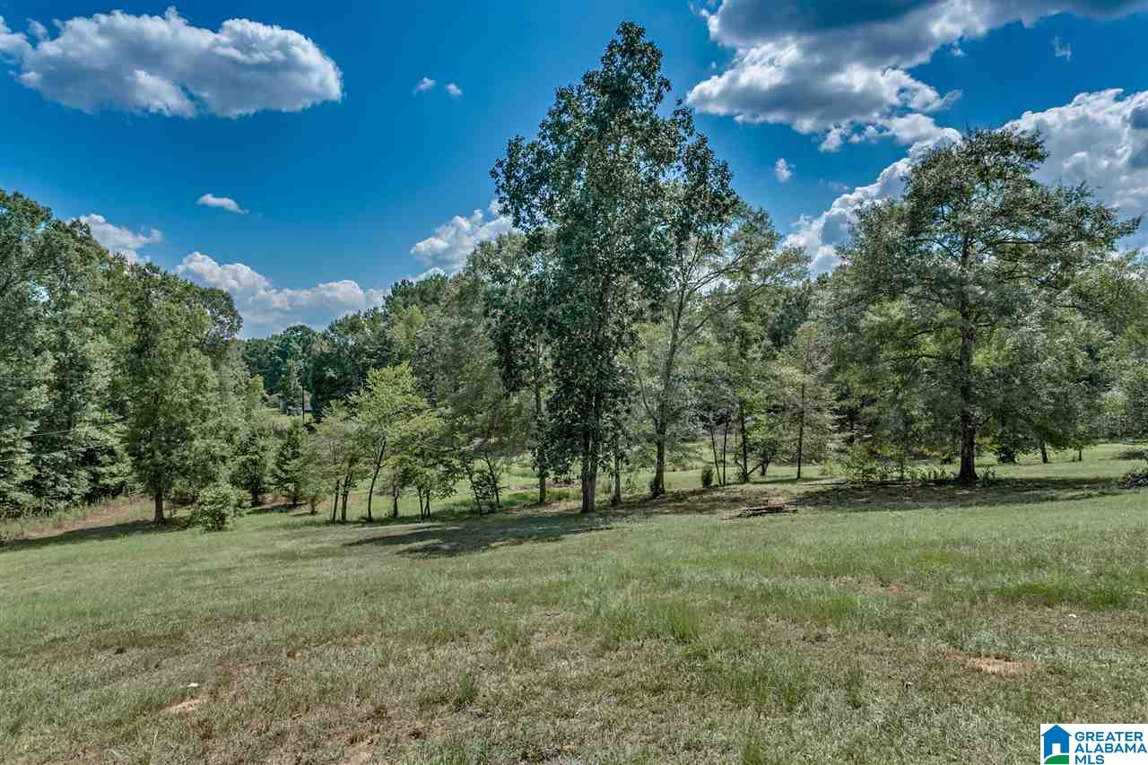 184 Jenkins Farm Road Helena, AL 35080 - Photo 19 of 25