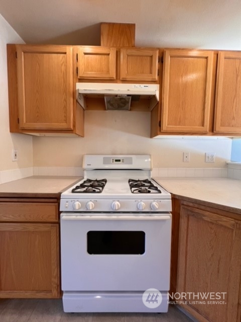 443 Spring Lane Sedro-Woolley, WA 98284 - Photo 9 of 34 a stove top oven sitting inside of a kitchen