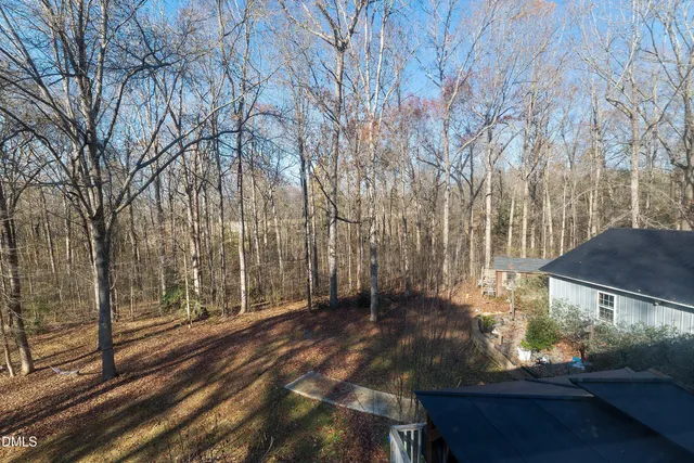 a view of mountain with trees