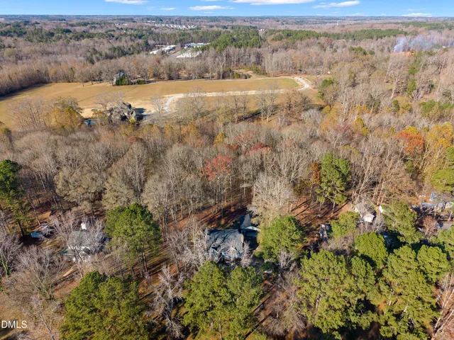 an aerial view of forest