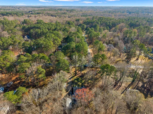 an aerial view of forest