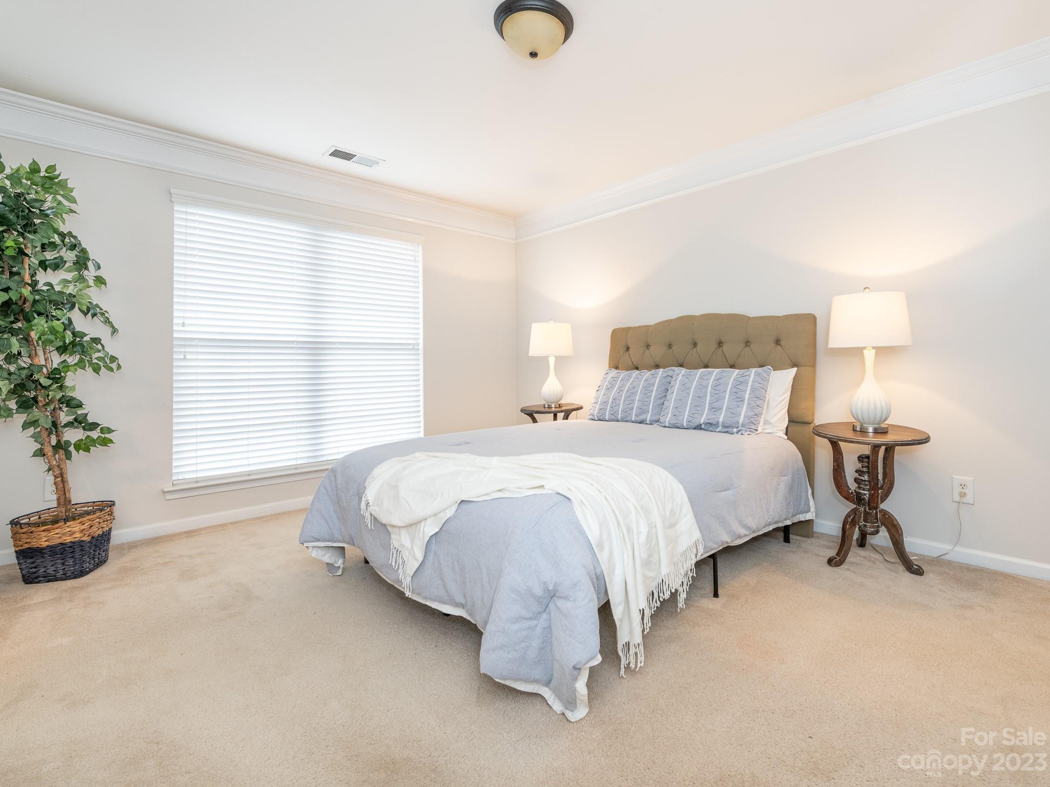 3764 Leela Palace Way Fort Mill, SC 29708 - Photo 17 of 32 a spacious bedroom with a bed and a potted plant
