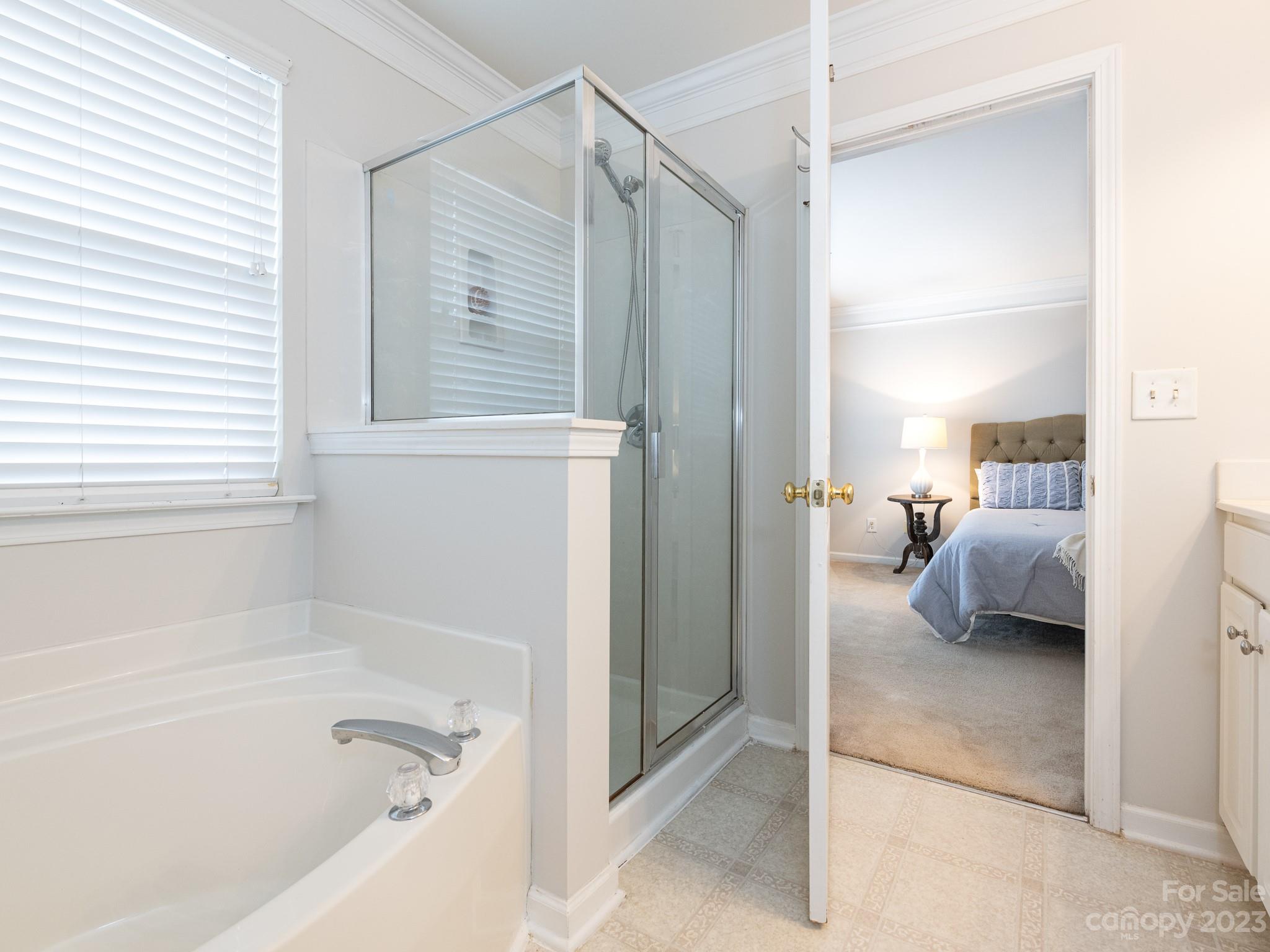 3764 Leela Palace Way Fort Mill, SC 29708 - Photo 19 of 32 a en suite bathroom with a tub shower and bedroom view