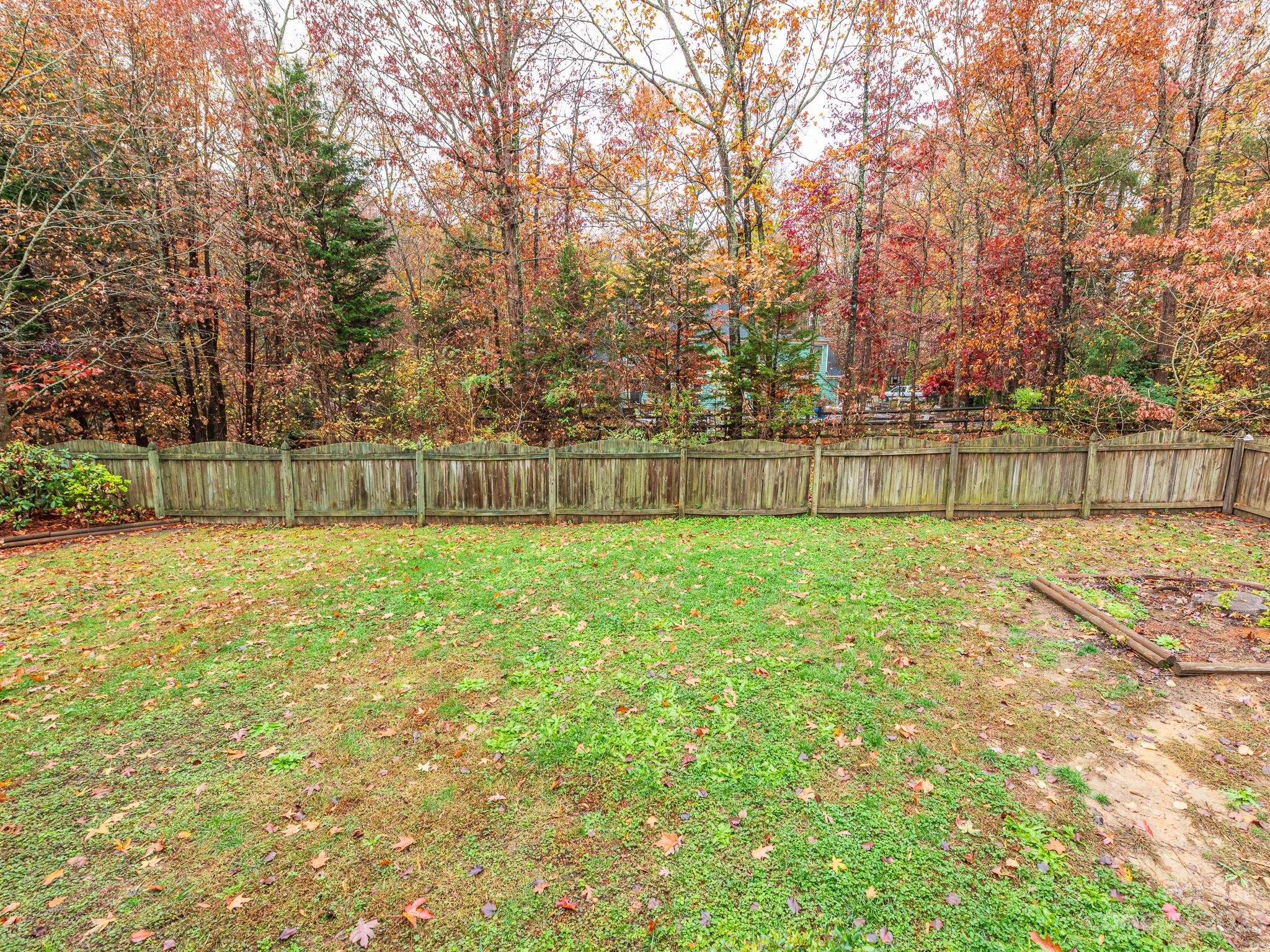 3764 Leela Palace Way Fort Mill, SC 29708 - Photo 27 of 32 a view of a backyard with large trees