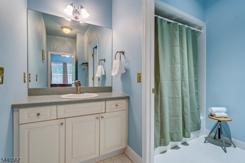 2 Coe Farm Road Mendham, NJ 07945 - Photo 33 of 50