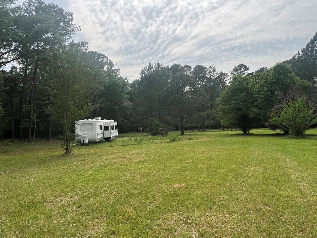 804 Glynn Willis Road Meigs, GA 31765 - Photo 11 of 17 Gallery Image 11