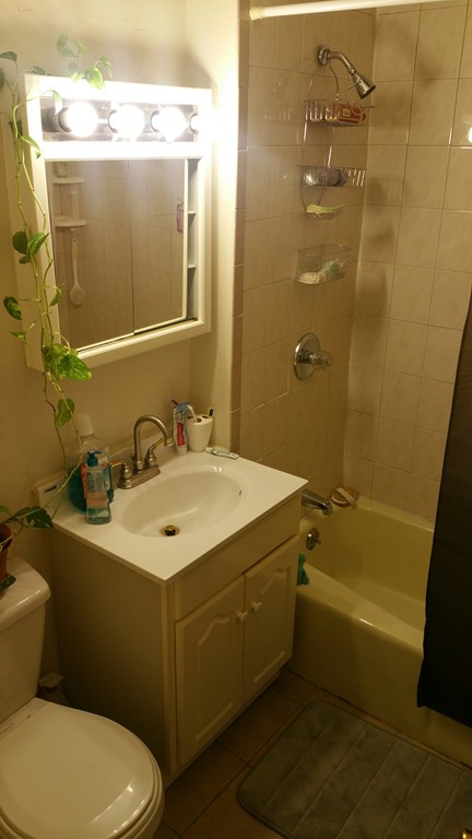 6 Hayes Road, Unit 3A Boston, MA 02131 - Photo 3 of 4 Gallery Image 3