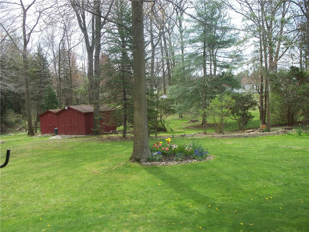 1041 Old Princeton Road New Castle, PA 16101 - Photo 2 of 16