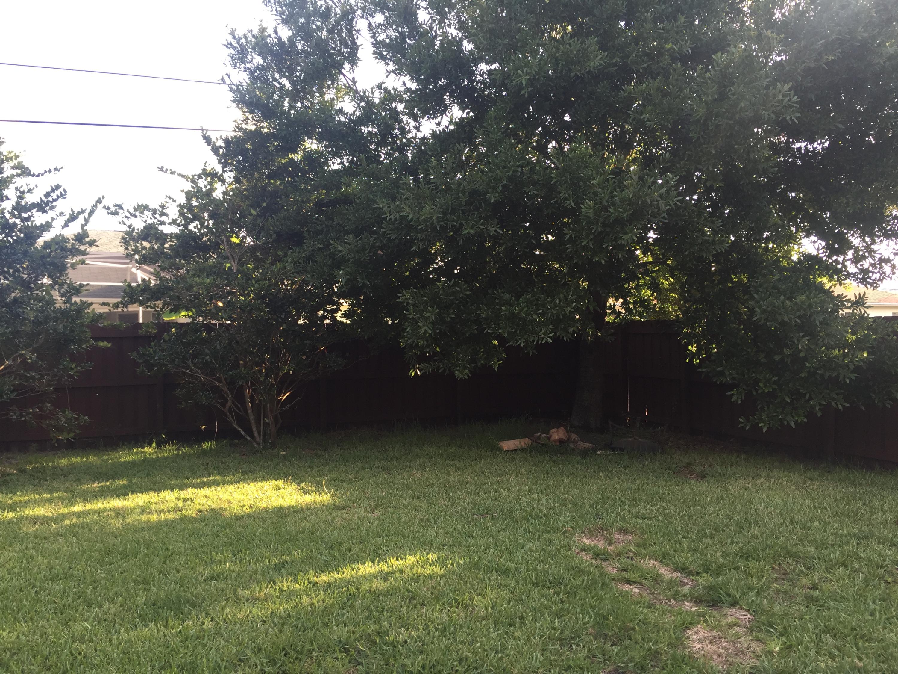 602 Southwest Dairy Road Port St. Lucie, FL 34953 - Photo 24 of 26 Backyard Trees