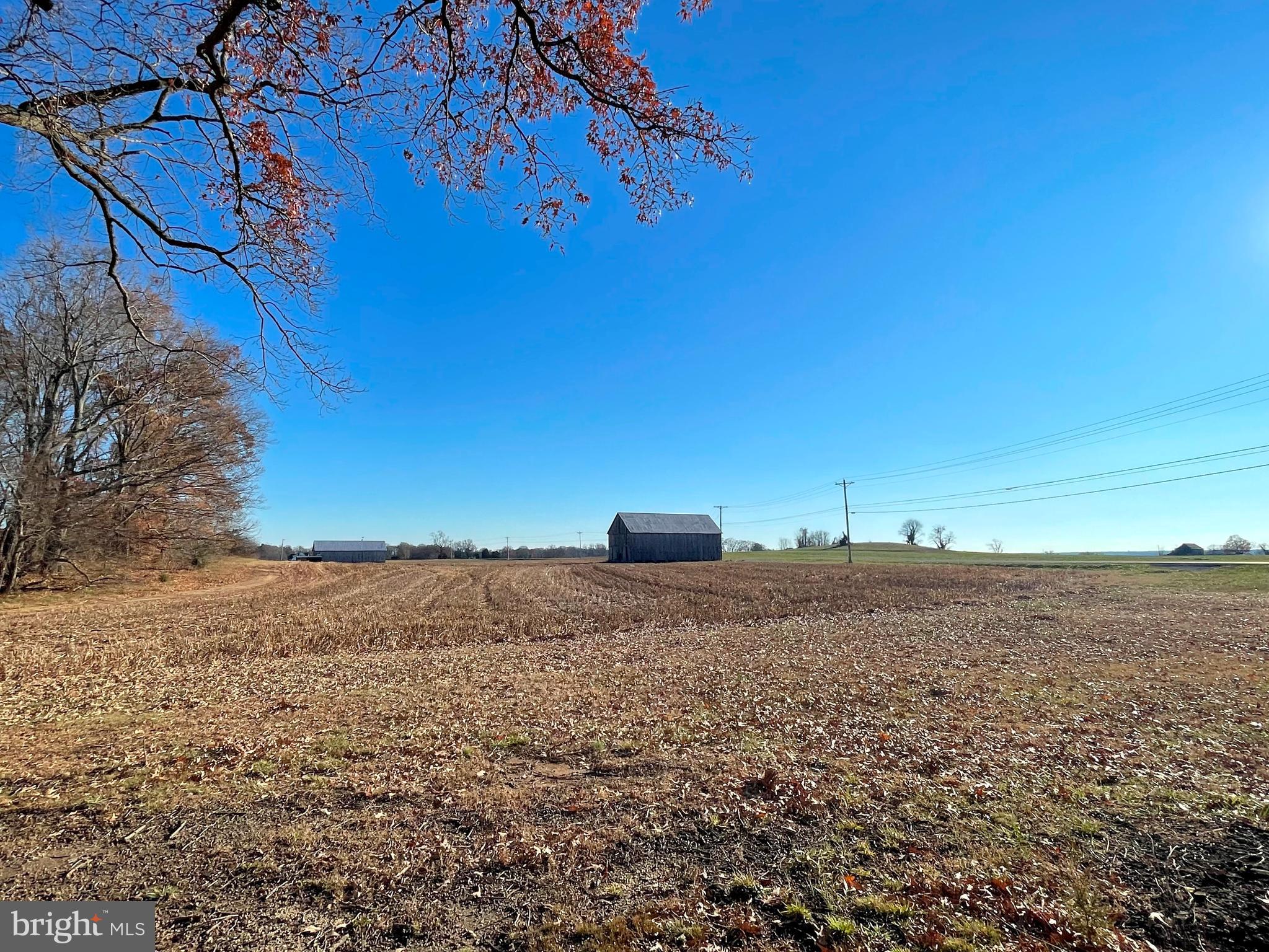 7990 Mackall Road St. Leonard, MD 20685 - Photo 17 of 18 Farm view from back porch