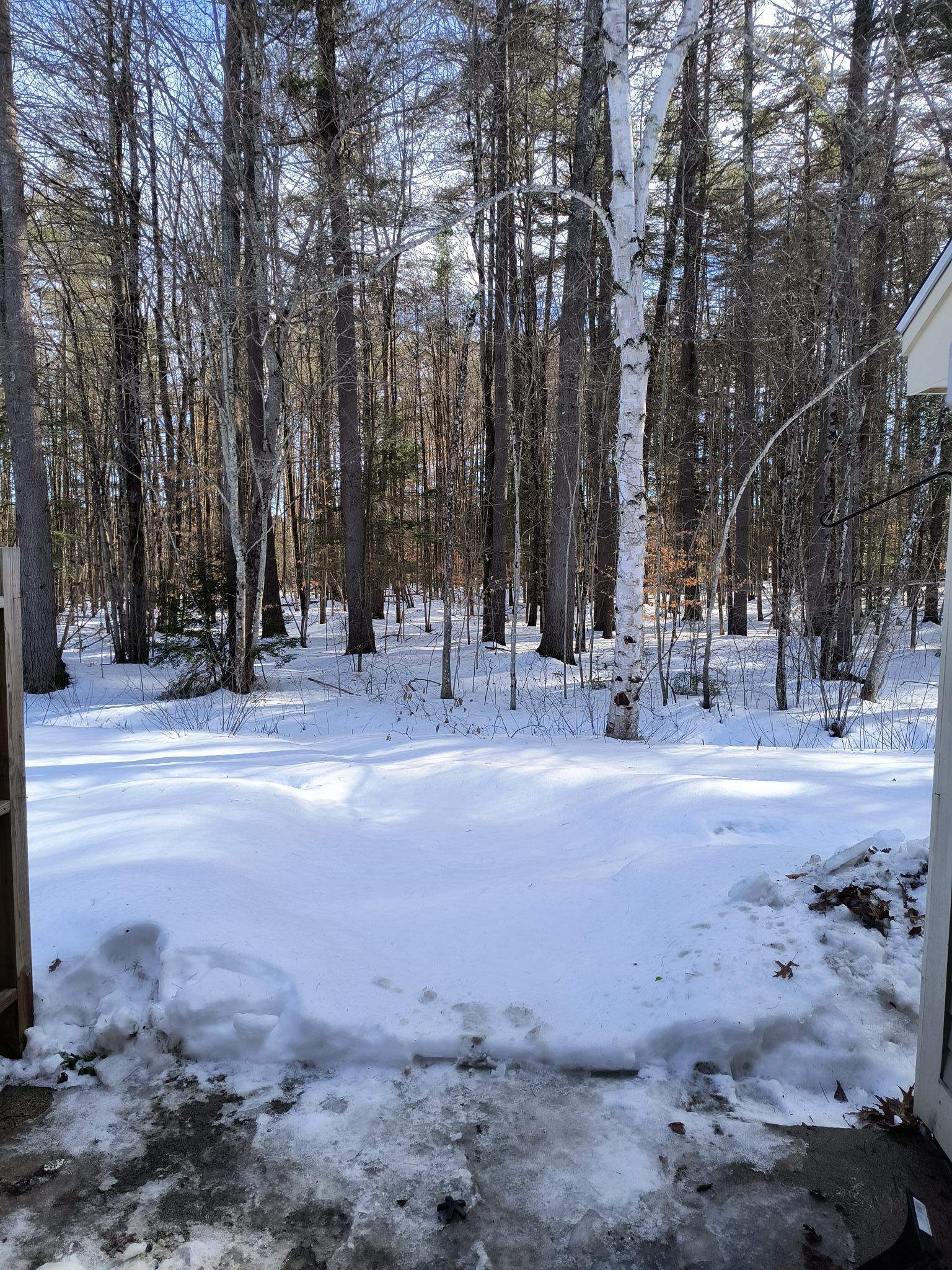 238 Base Hill Road, Unit 14 Keene, NH 03431 - Photo 20 of 21