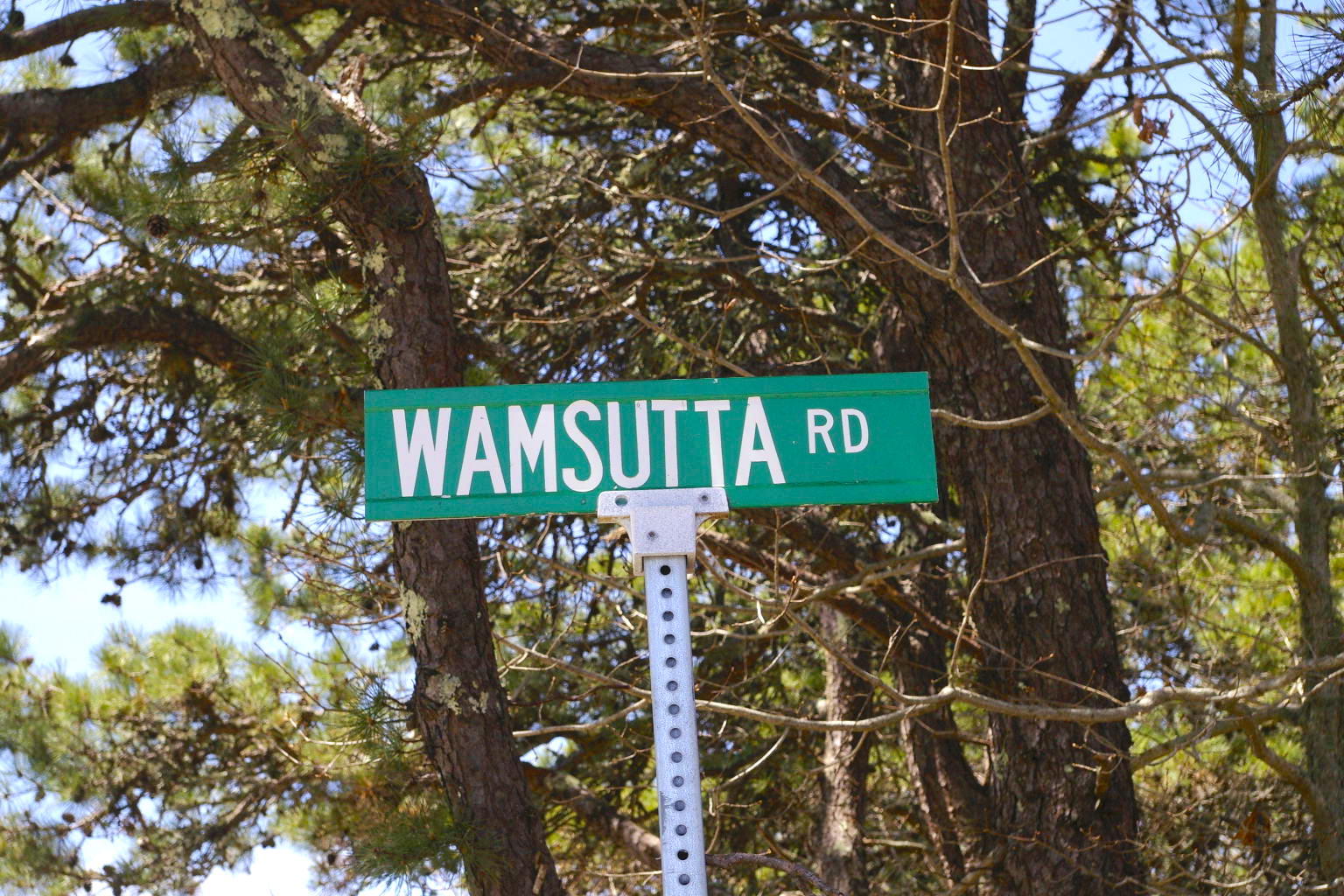 45 Wamsutta Road Eastham, MA 02642 - Photo 2 of 5 _IGP9784