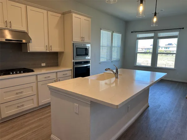 $2,800 | 20301 Crested Caracara Lane, Pflugerville, TX 78660