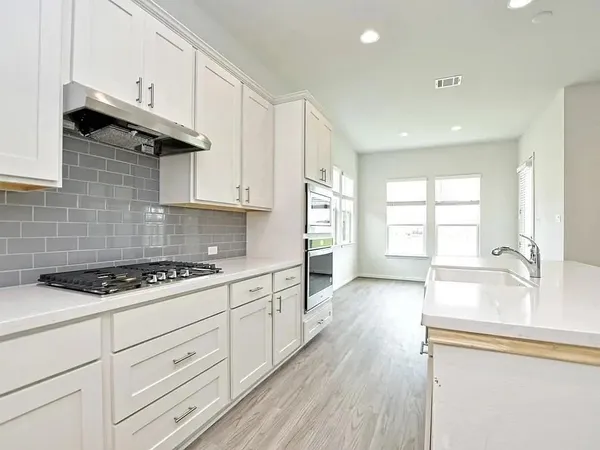 $2,800 | 20301 Crested Caracara Lane, Pflugerville, TX 78660