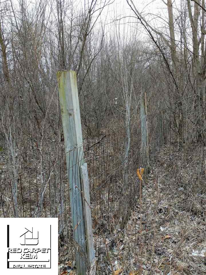Vl Arbela Road Millington, MI 48746 - Photo 6 of 13