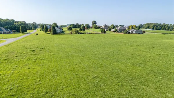 a view of a grassy field with trees