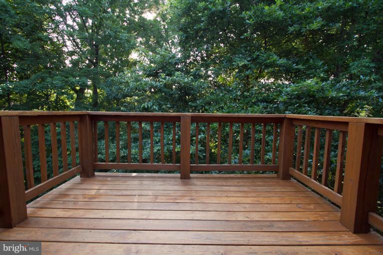 2233 Cedar Cove Court Reston, VA 20191 - Photo 28 of 30 Exterior (Rear)