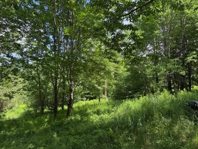 1375 North Hill Road Montgomery, VT 05471 - Photo 3 of 8 Gallery Image 3