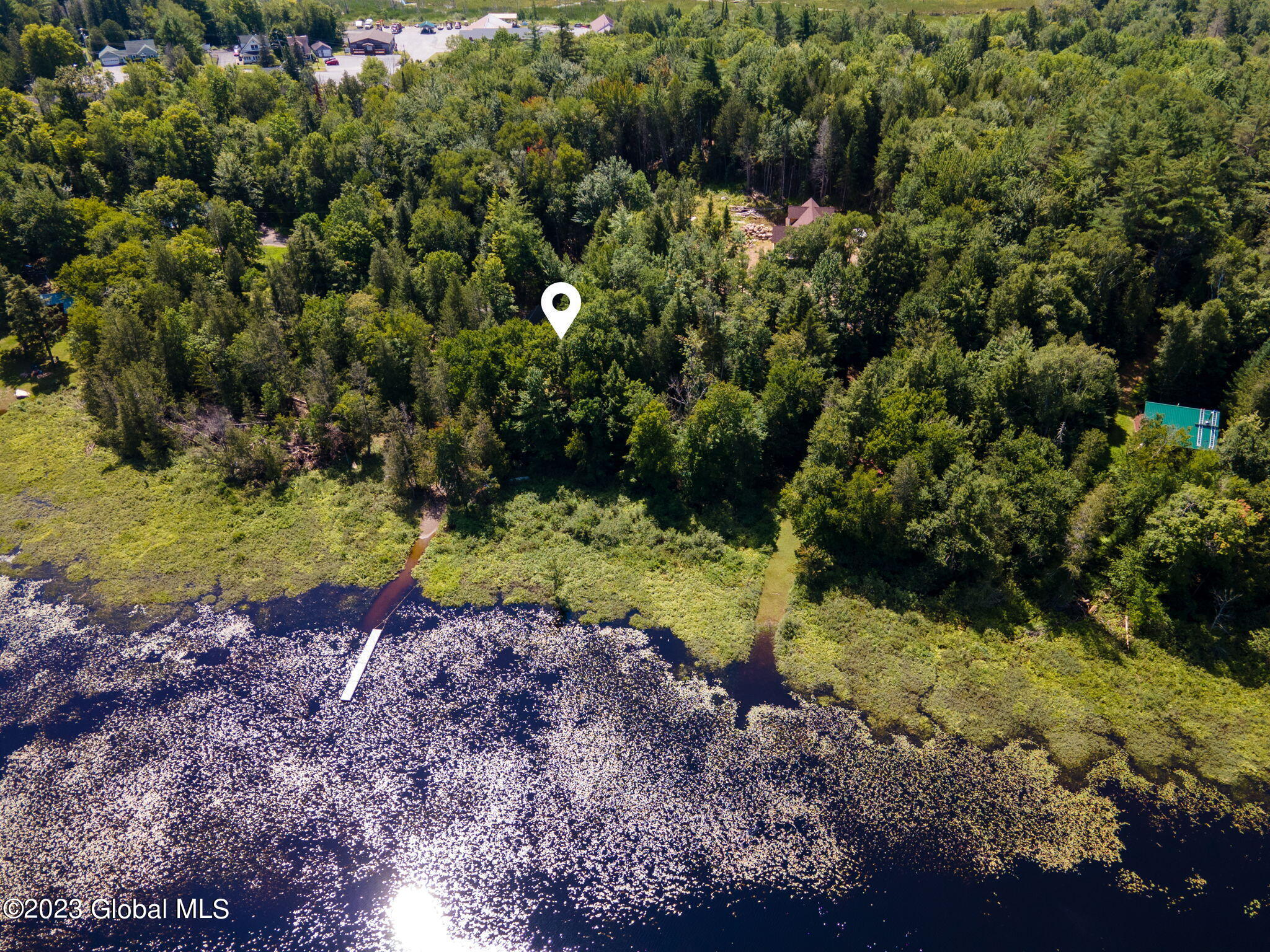 0 Lake Harris Road Newcomb, NY 12852 - Photo 3 of 14 14-web-or-mls-00LakeHarrisRd-14