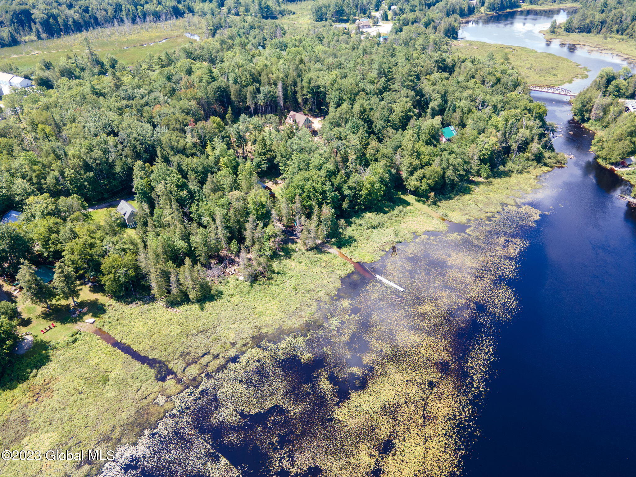 0 Lake Harris Road Newcomb, NY 12852 - Photo 9 of 14 8-web-or-mls-00LakeHarrisRd-8