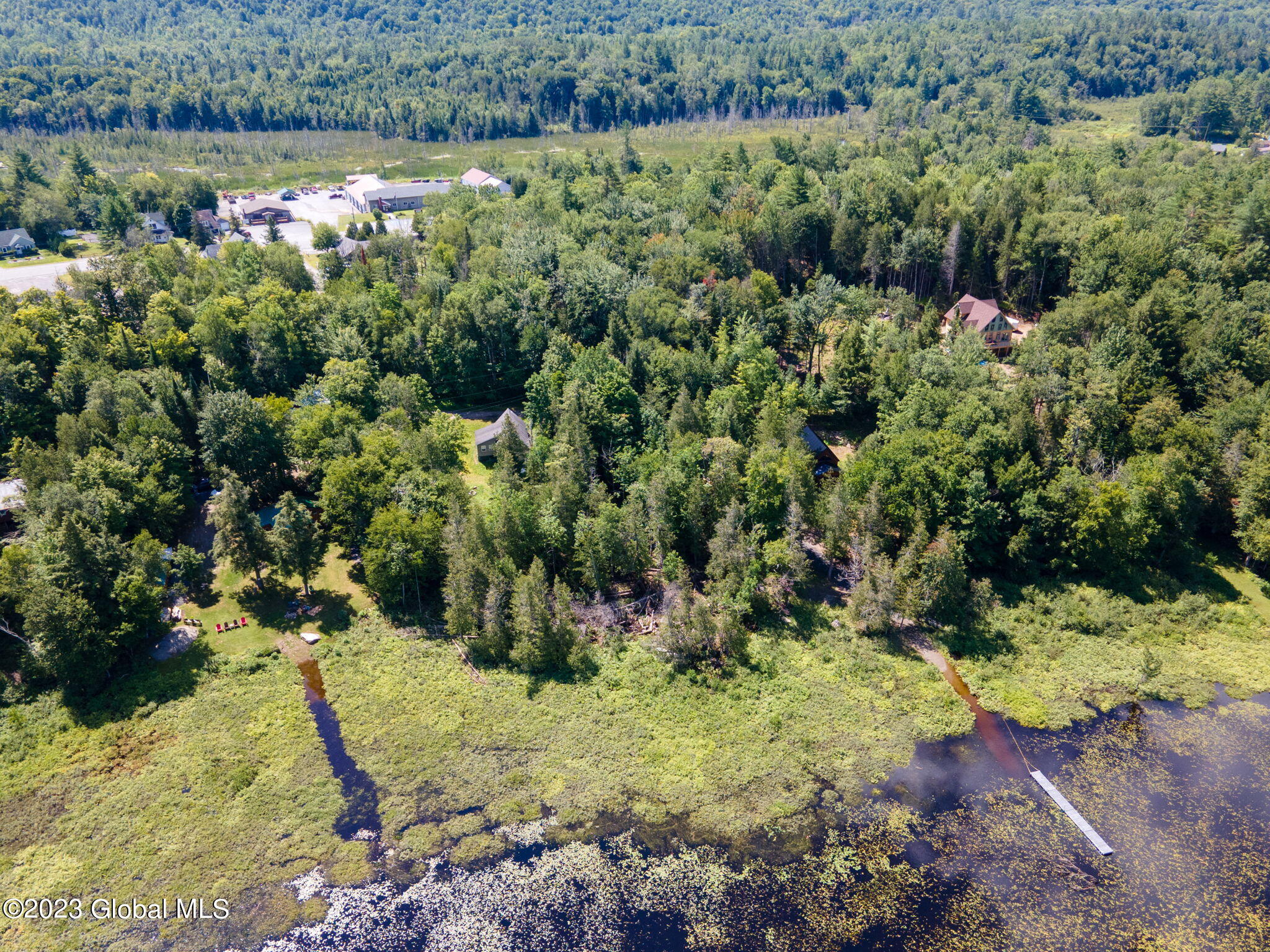 0 Lake Harris Road Newcomb, NY 12852 - Photo 10 of 14 9-web-or-mls-00LakeHarrisRd-9