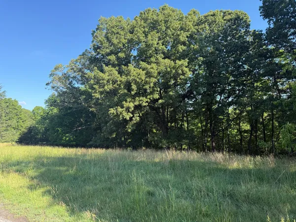 $69,900 | 0 Wingfield Drive, Goode, VA 24556
