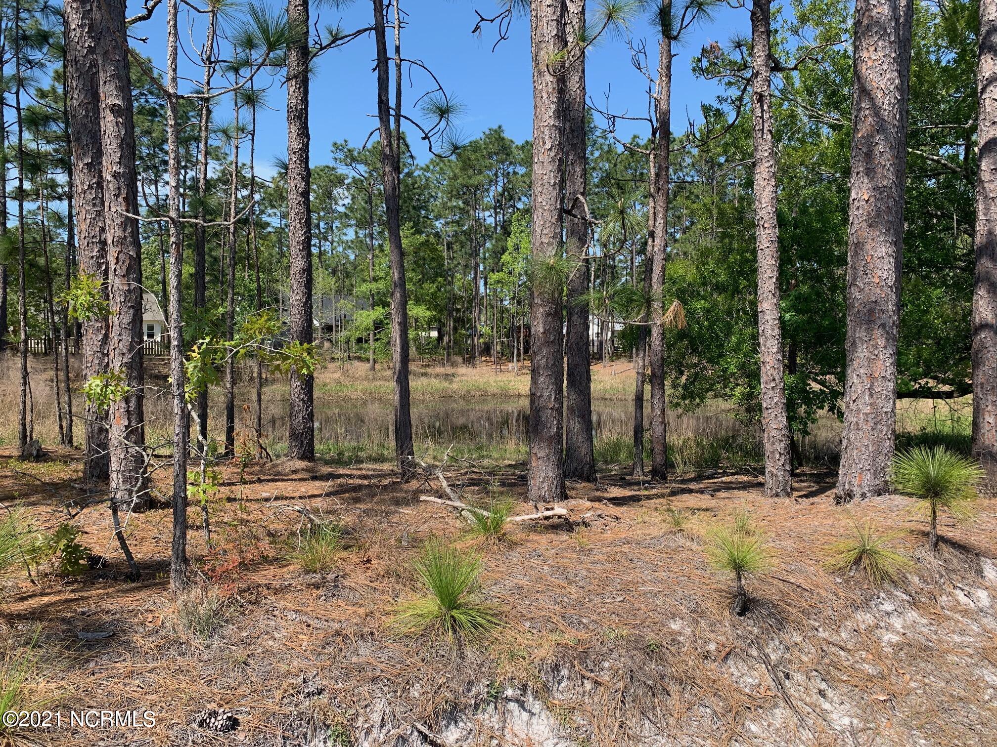 1097 Nicklaus Road Southport, NC 28461 - Photo 23 of 26 View of pond