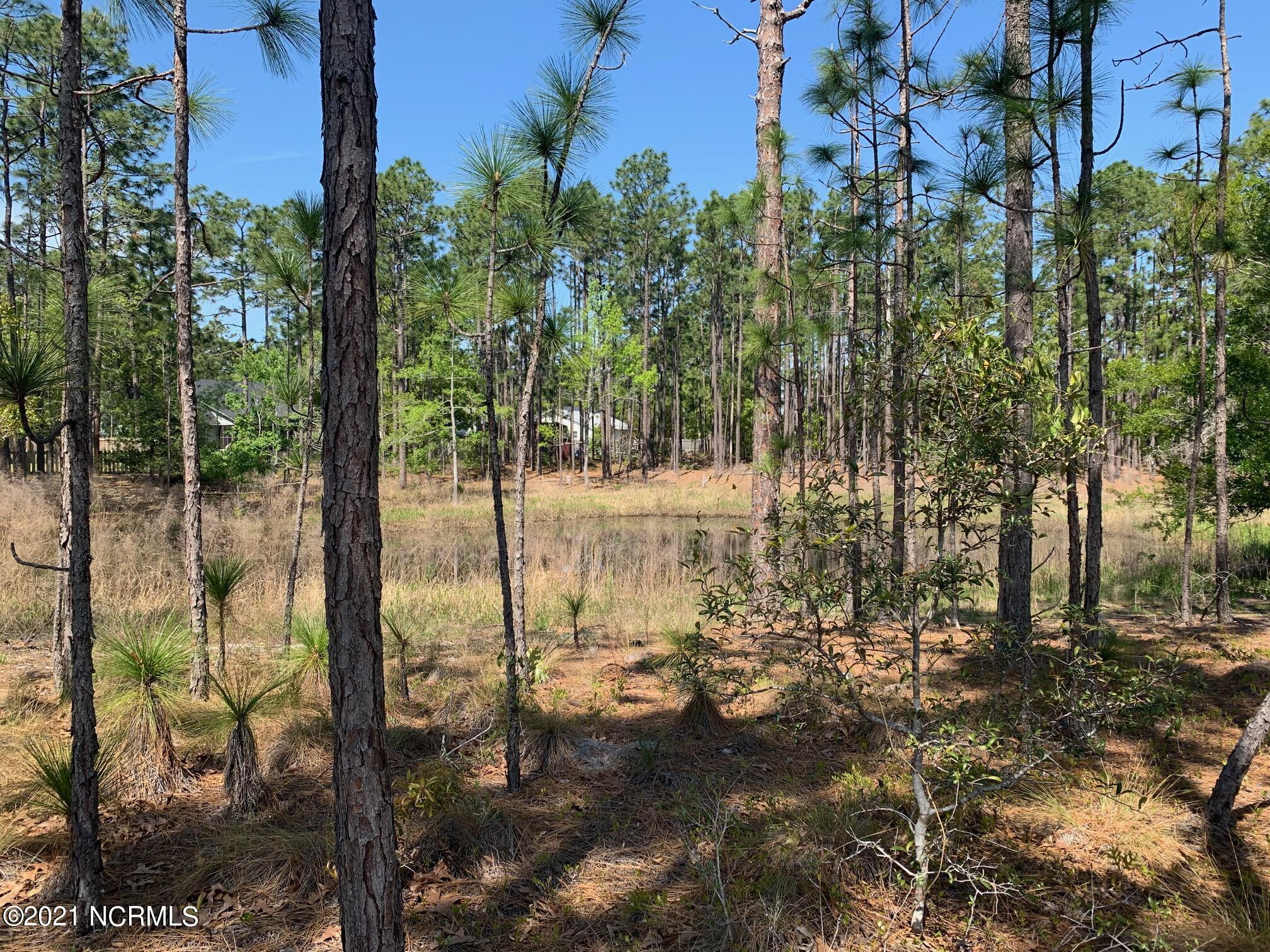 1097 Nicklaus Road Southport, NC 28461 - Photo 24 of 26 view of pond