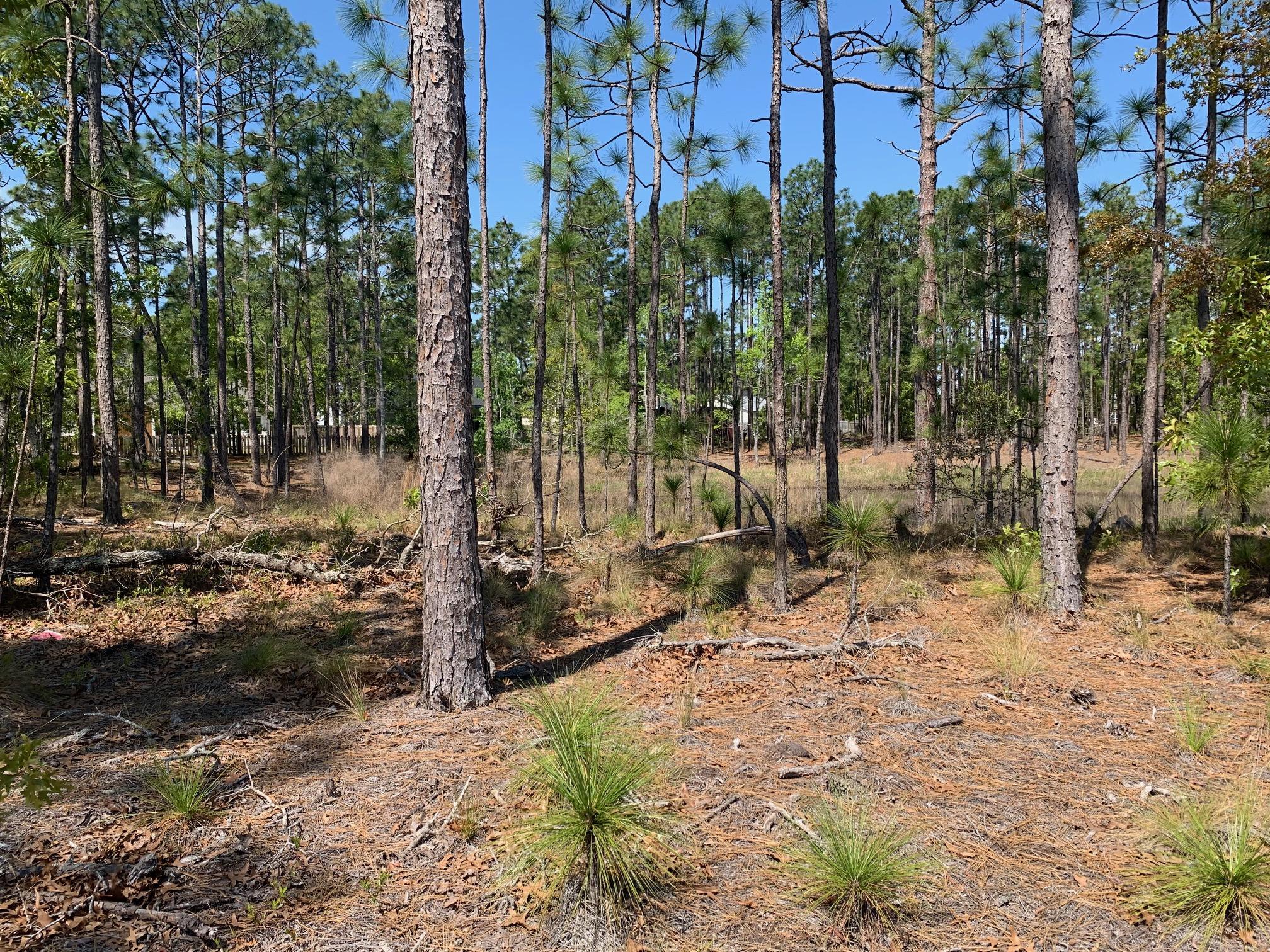 1097 Nicklaus Road Southport, NC 28461 - Photo 25 of 26 IMG_4118