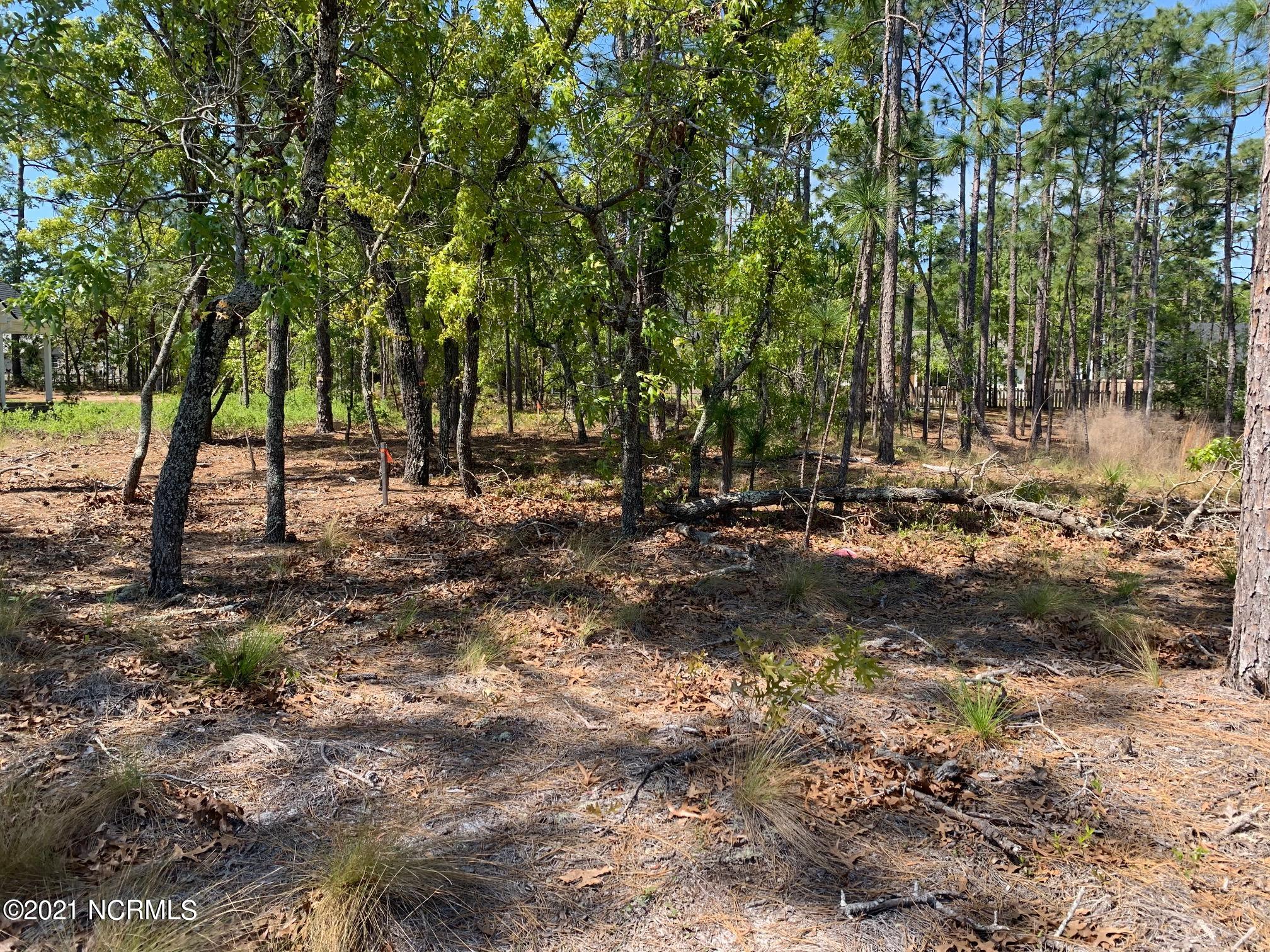 1097 Nicklaus Road Southport, NC 28461 - Photo 26 of 26 IMG_4117