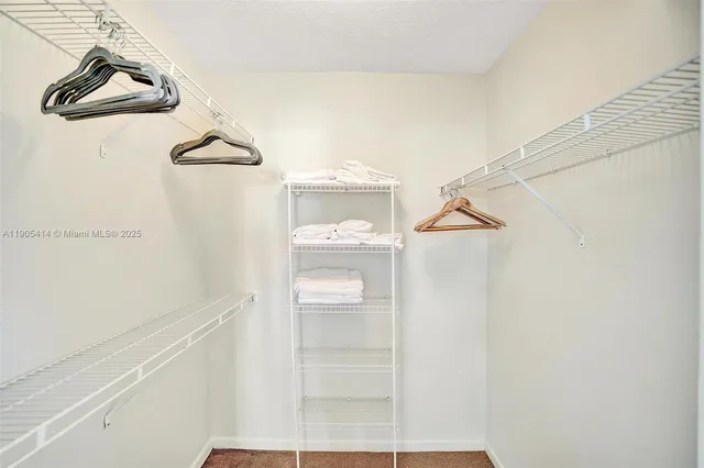 a view of walk in closet