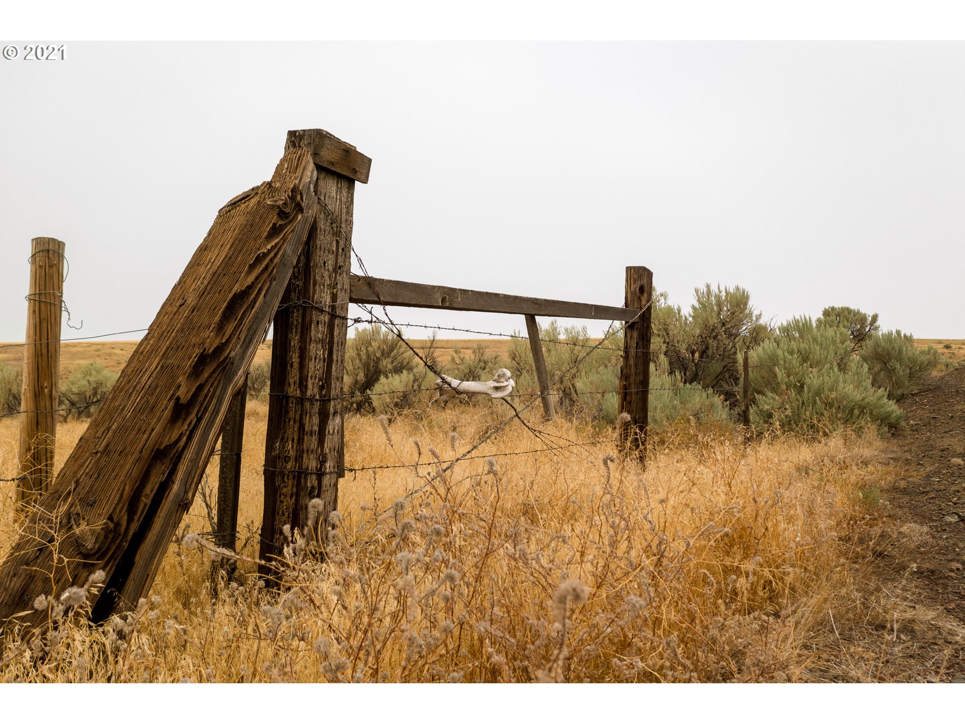 0 Sherars Bridge Highway Moro, OR 97039 - Photo 11 of 15 Gallery Image 11