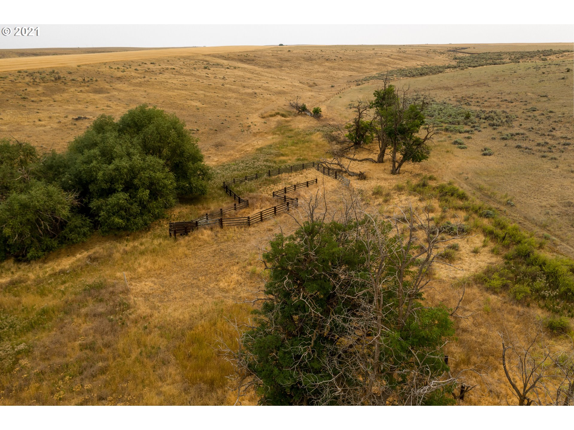 0 Sherars Bridge Highway Moro, OR 97039 - Photo 8 of 15 Gallery Image 8